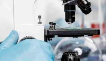 В России появились новые препараты от возрастных изменений и бесплодия 